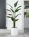 Artificial Bird Of Paradise Tree in White Round Planter