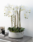 Large Artificial Orchid In Stone Pot