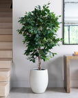 Premium Artificial Ficus Tree in Luno Beige Planter