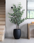 Artificial Eucalyptus Tree in Luno Anthracite Planter
