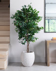 Premium Artificial Ficus Tree in Luno Beige Planter