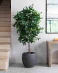 Premium Artificial Ficus Tree in Luno Anthracite Planter