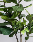 Artificial Fiddle Fig Tree in Fleuri Travertine Stone Planter