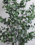 Artificial Eucalyptus Tree in Luno Anthracite Planter