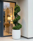 Artificial Spiral Topiary Tree In White Stone Planter – Faux Buxus Outdoor Entrance Décor (150cm or 180cm Total Height)