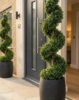Artificial Spiral Topiary Tree In Black Stone Planter – Faux Buxus Outdoor Entrance Décor (150cm or 180cm Total Height)