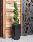 Artificial Buxus Spiral Topiary in Tall Black Tapered Planter