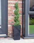 Artificial Buxus Spiral Topiary in Tall Black Tapered Planter