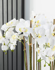 Artificial Floor Standing Orchid In Luxurious White Wave Pot