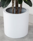 Artificial Ficus Elastica Rubber Tree in White Round Planter