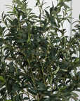 Artificial Olive Tree in White Round Planter