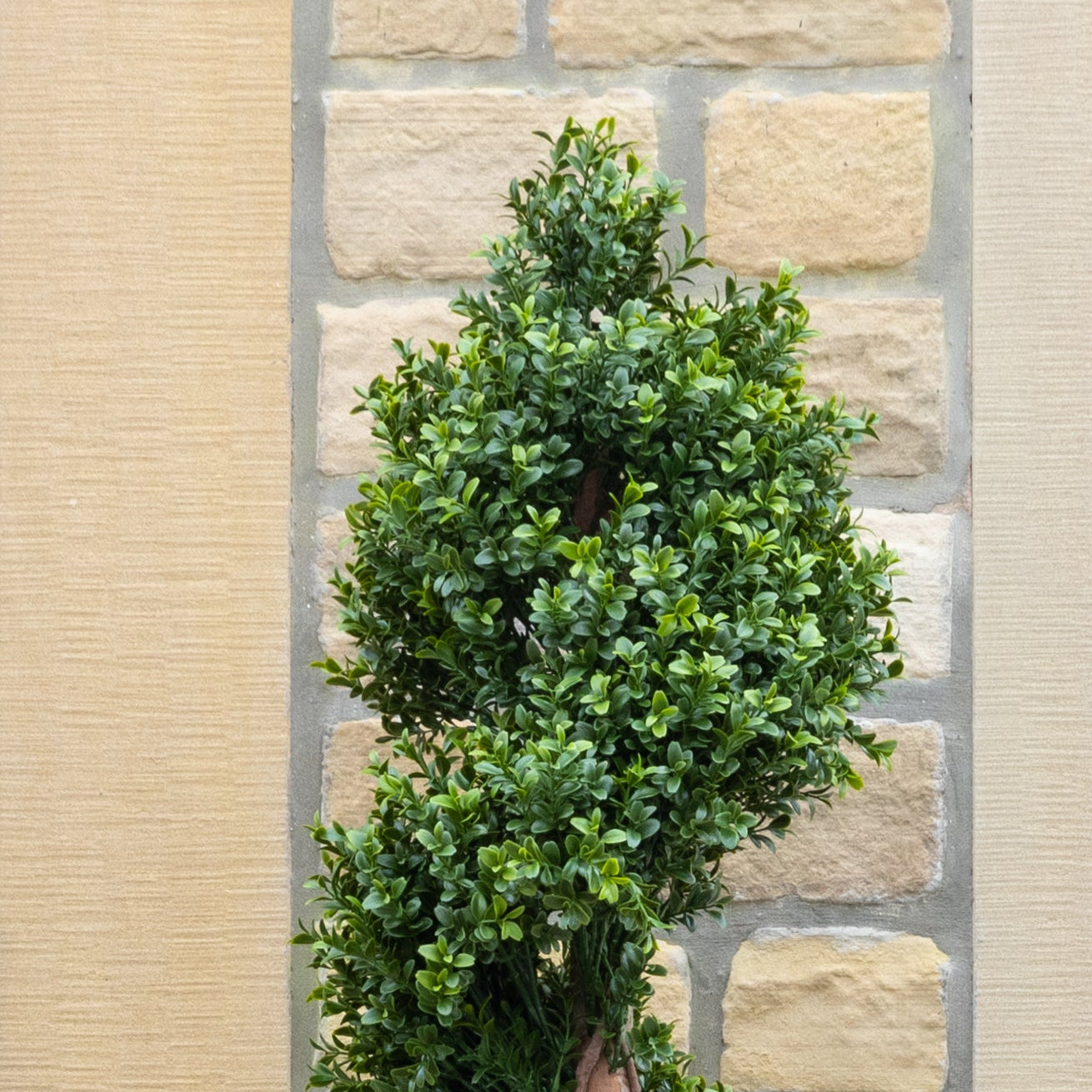 Artificial Spiral Topiary Tree In Black Stone Planter – Faux Buxus Outdoor Entrance Décor (150cm or 180cm Total Height)