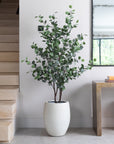 Artificial Eucalyptus Tree in Luno Beige Planter