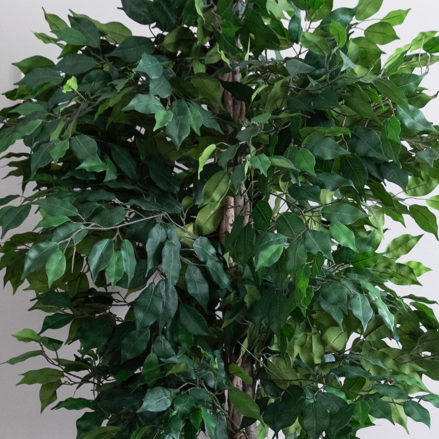 Artificial Ficus Tree in Harith Travertine Stone Planter