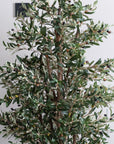 Artificial Olive Tree in Luno Anthracite Planter