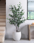Artificial Eucalyptus Tree in Luno Beige Planter