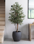 Artificial Olive Tree in Luno Anthracite Planter