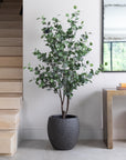 Artificial Eucalyptus Tree in Luno Anthracite Planter