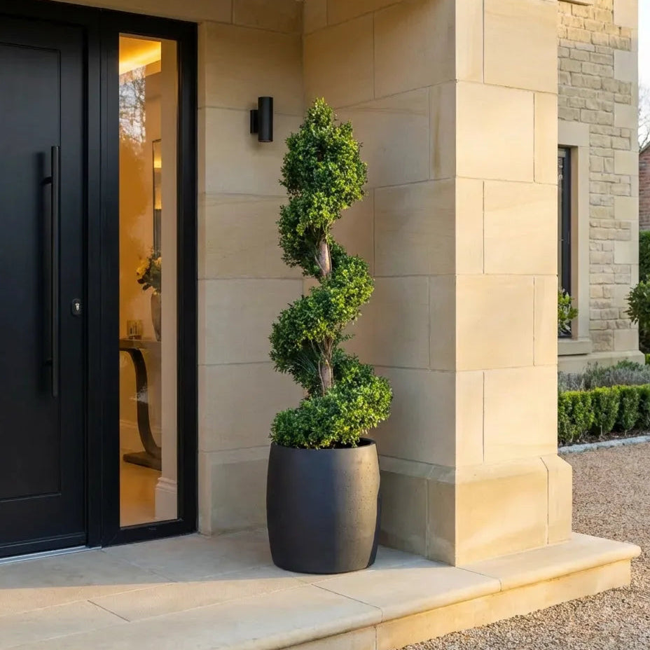 Artificial Spiral Topiary Tree In Black Stone Planter – Faux Buxus Outdoor Entrance Décor (150cm or 180cm Total Height)