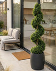 Artificial Spiral Topiary Tree In Black Stone Planter – Faux Buxus Outdoor Entrance Décor (150cm or 180cm Total Height)