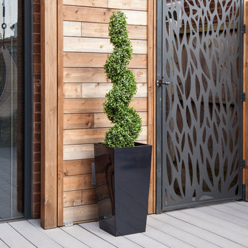Artificial Buxus Spiral Topiary in Tall Black Tapered Planter