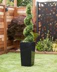 Artificial Buxus Spiral Topiary in Tall Black Tapered Planter