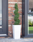 Artificial Buxus Spiral Topiary in Tall White Tapered Planter